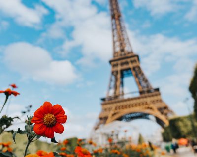 Eiffel Tower with flowers in the foreground