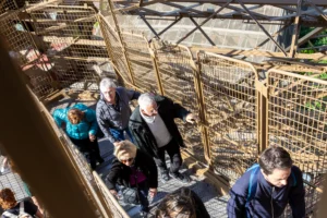 High shot of guests climbing the Eiffel Tower